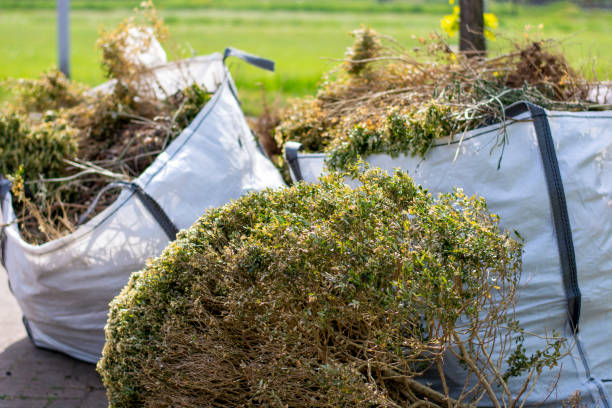 Best Yard Waste Removal  in Palmview South, TX